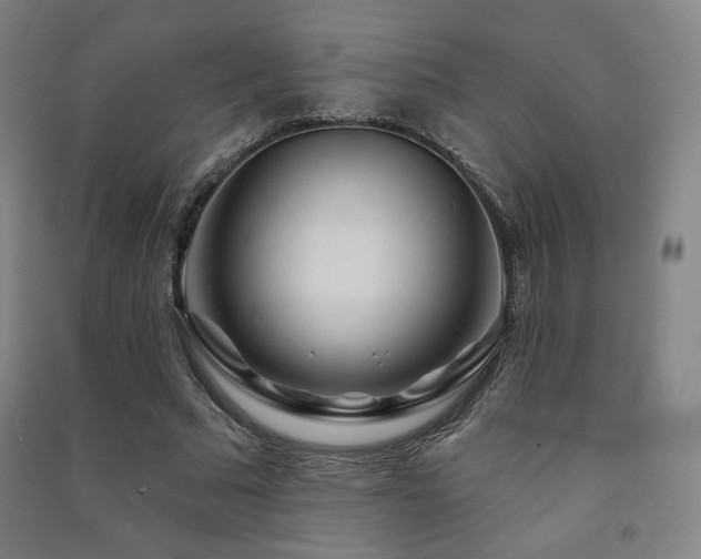 X0000091470681200708161359