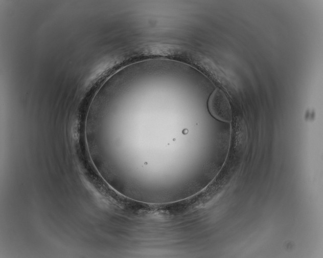 X0000091470683200708161359