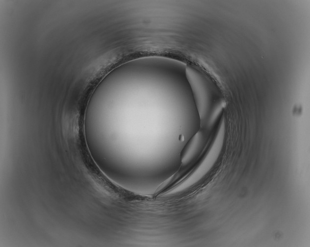 X0000091470685200708161359