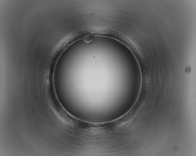 X0000091470686200708161359