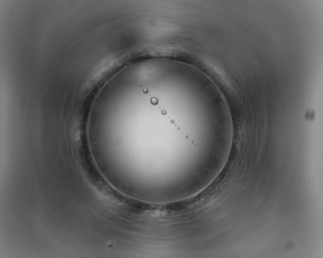 X0000091470687200708161359