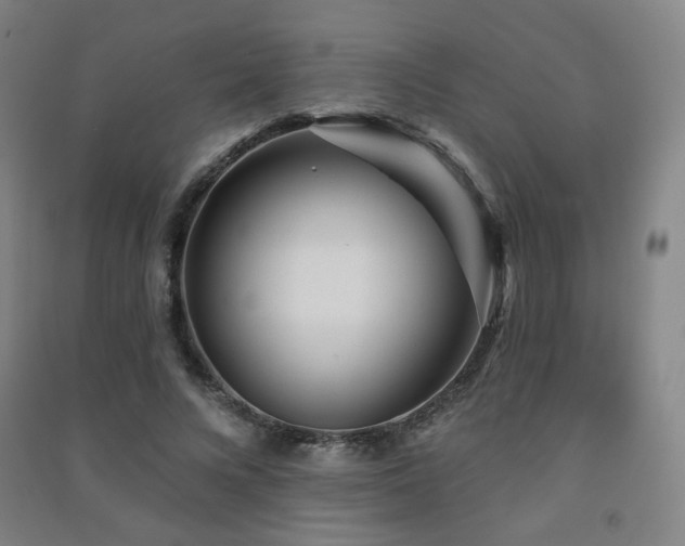 X0000091470688200708161359