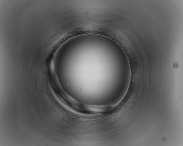 X0000091470689200708161359