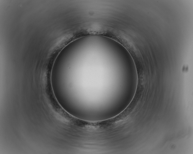 X0000091470690200708161359