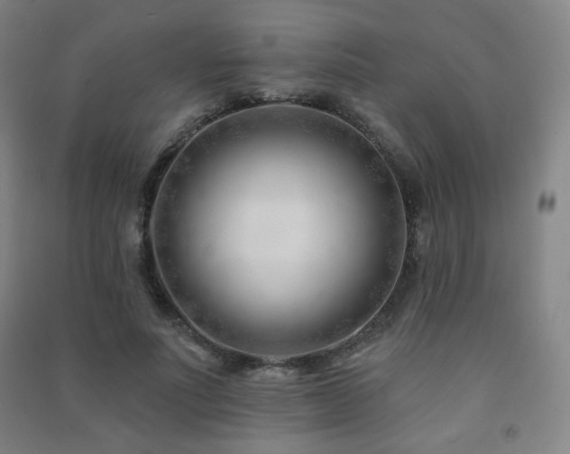 X0000091470691200708161359