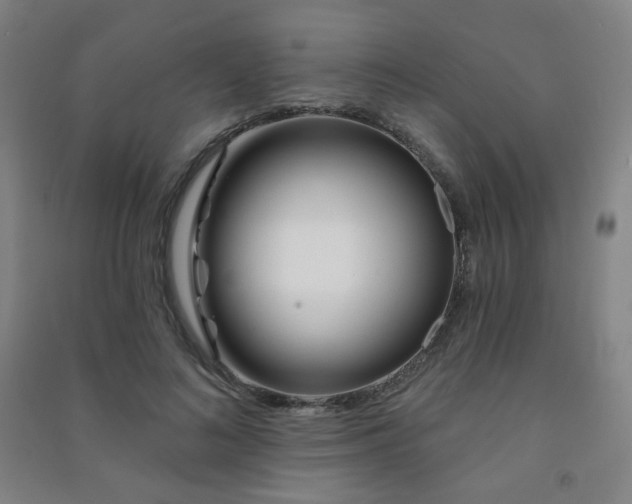 X0000091470692200708161359