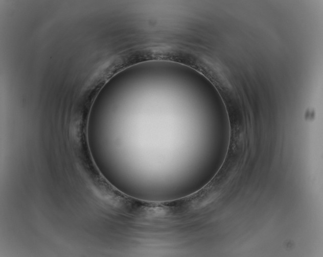 X0000091470698200708161359