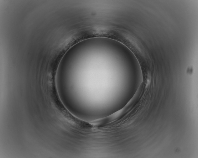 X0000091470700200708161359