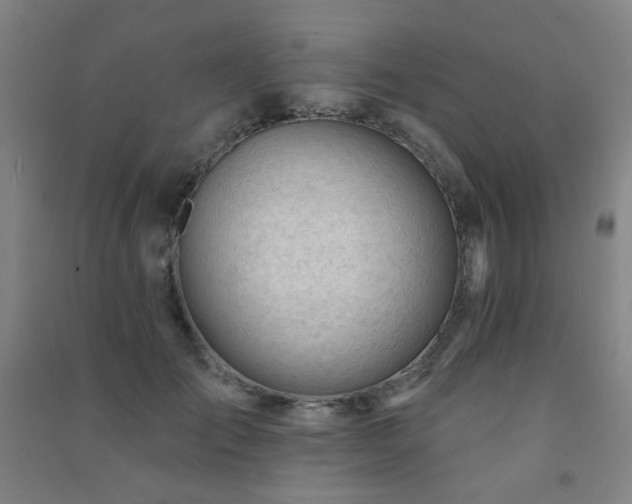 X0000091470701200708161359