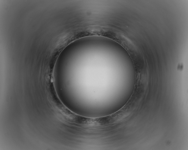 X0000091470702200708161359