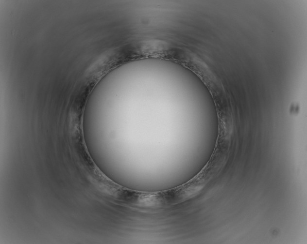 X0000091470705200708161359