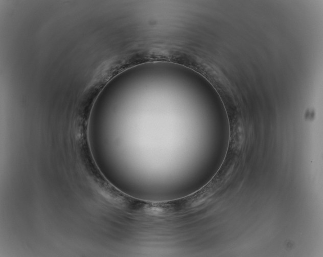 X0000091470706200708161359