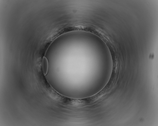 X0000091470707200708161359