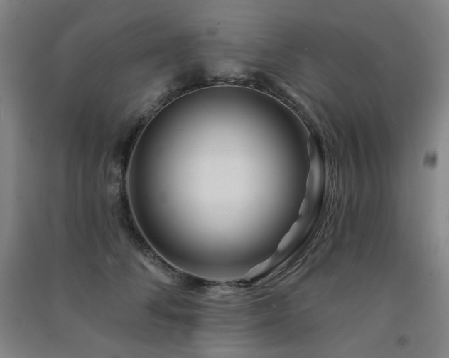 X0000091470708200708161359