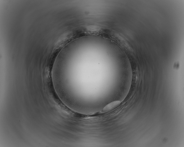 X0000091470711200708161359