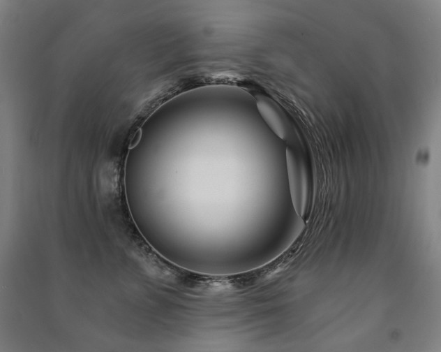 X0000091470715200708161359