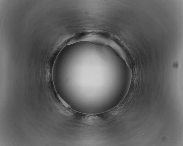 X0000091470716200708161359