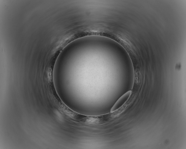 X0000091470718200708161359