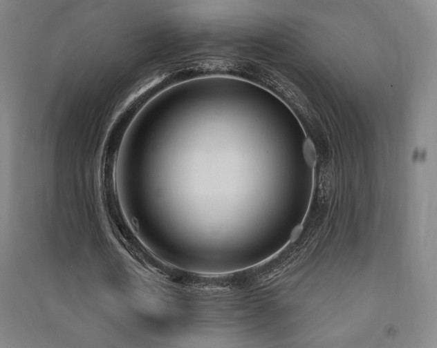 X0000091470722200708161358