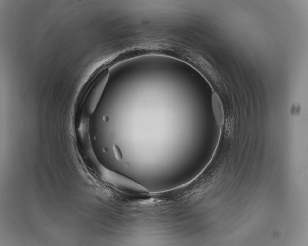 X0000091470724200708161358