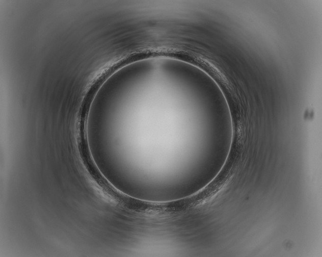 X0000091470725200708161358