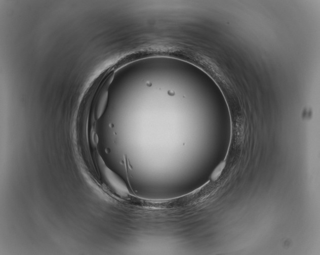 X0000091470726200708161358