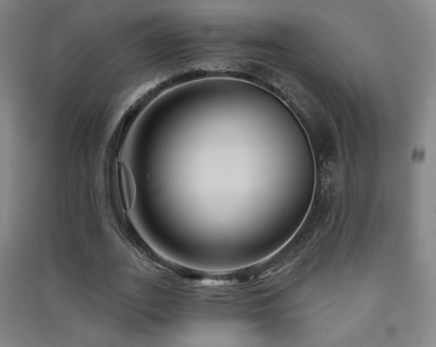 X0000091470727200708161358