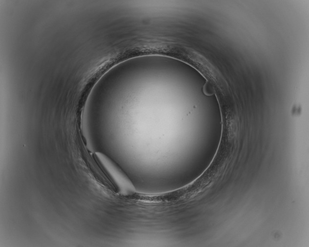 X0000091470729200708161358