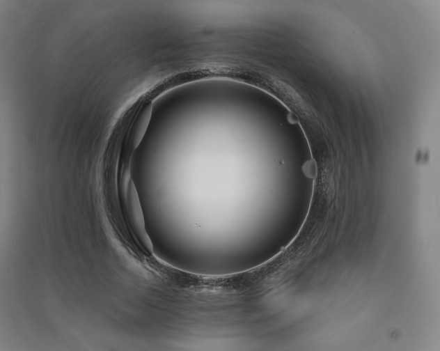 X0000091470730200708161358