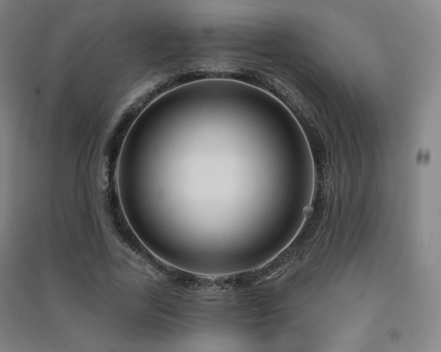 X0000091470731200708161358