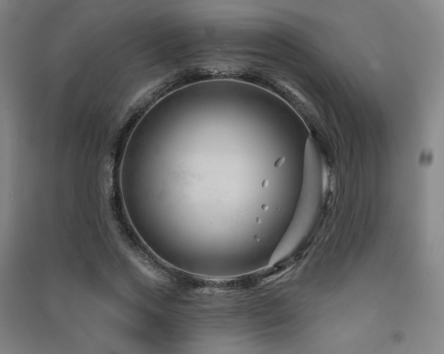X0000091470733200708161358