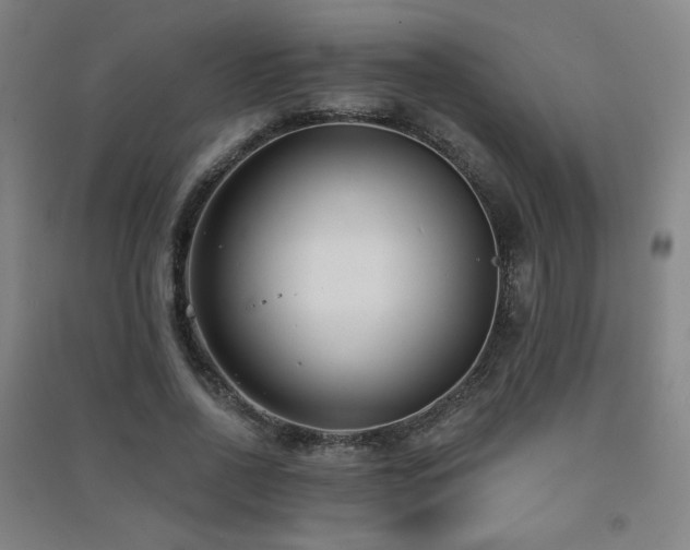 X0000091470734200708161358