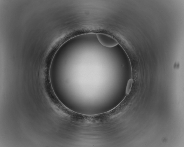 X0000091470736200708161358