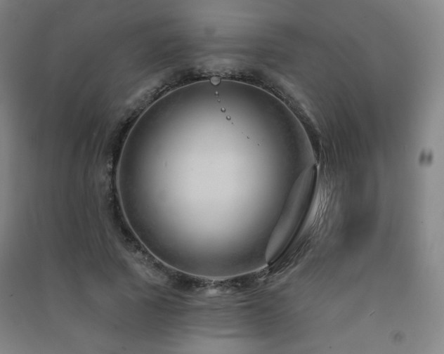 X0000091470737200708161358