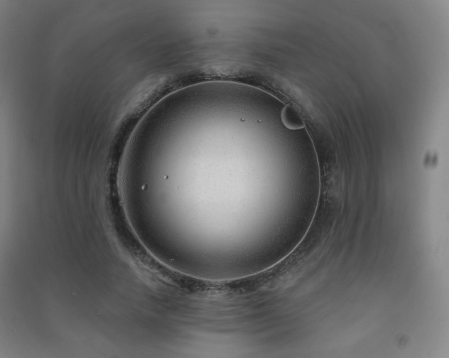 X0000091470738200708161358