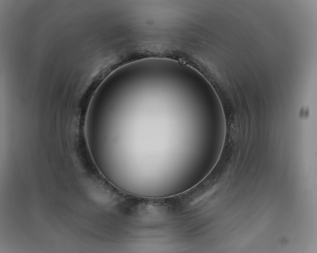 X0000091470739200708161358