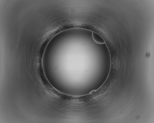 X0000091470740200708161358