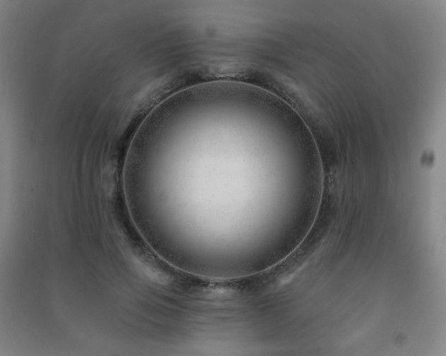 X0000091470741200708161358