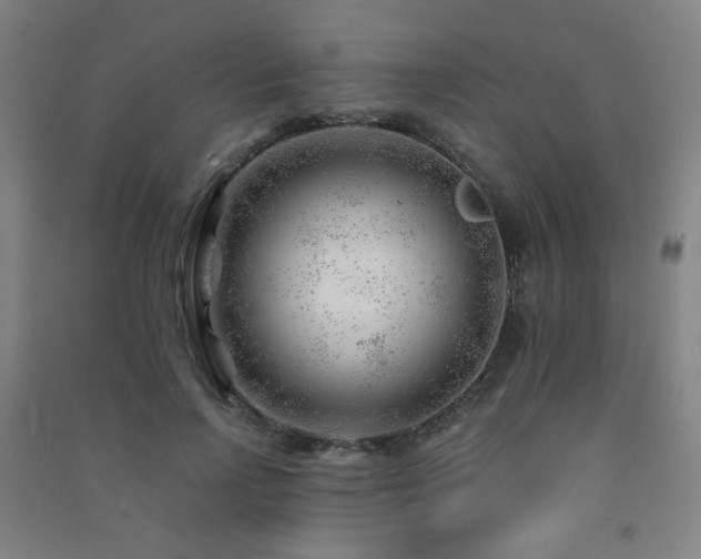 X0000091470742200708161358
