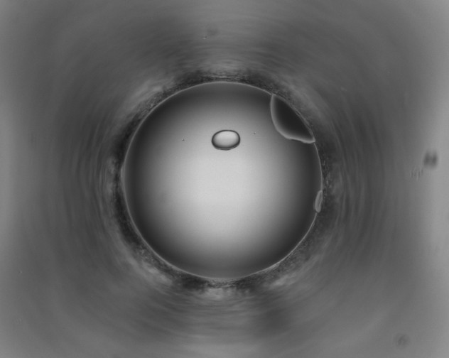 X0000091470744200708161359