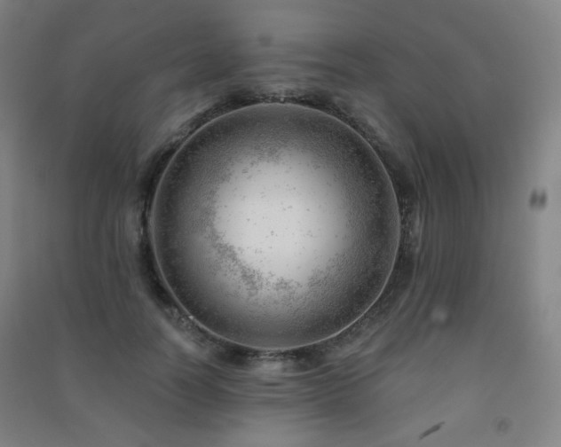 X0000091470746200708161359