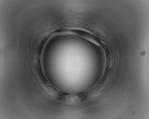 X0000091470747200708161359