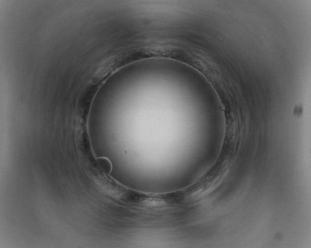 X0000091470749200708161359