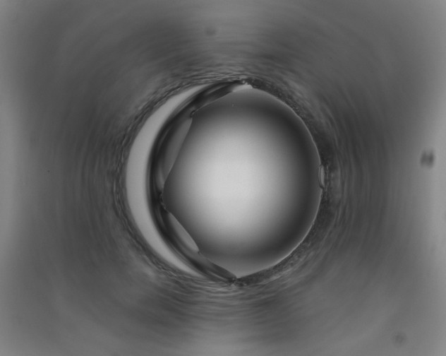 X0000091470750200708161359