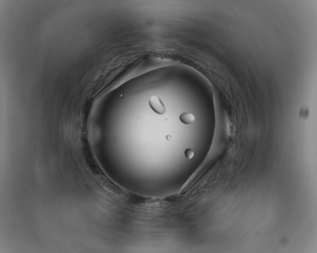 X0000091470752200708161359