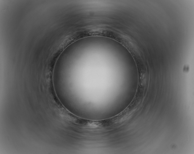 X0000091470753200708161359