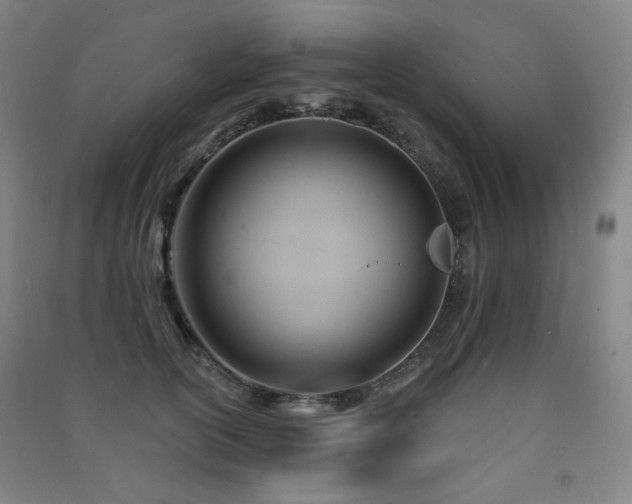 X0000091470754200708161359