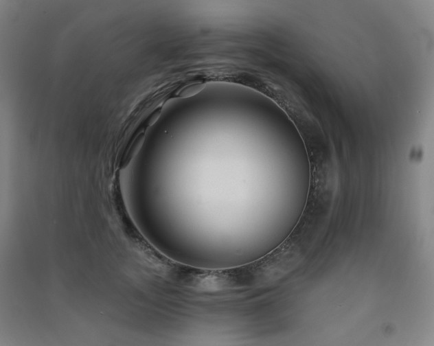 X0000091470755200708161359