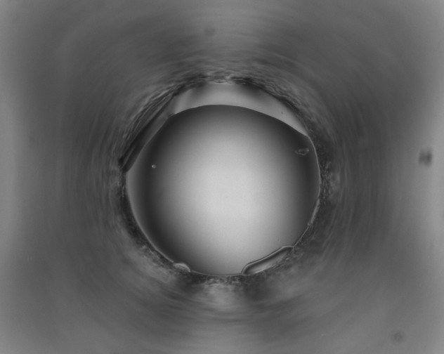 X0000091470756200708161359