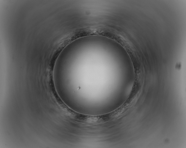 X0000091470757200708161359